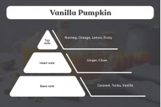 Vanilla Pumpkin - Aromatična sveća od sojinog voska sa pamučnim fitiljem (110gr)