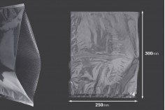 Vakuum kese 250x300 mm za čuvanje - pakovanje hrane i drugih proizvoda - 100 kom