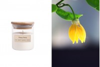 Ylang-ylang  - Aromatična sveća od sojinog voska sa pamučnim fitiljem (110gr)